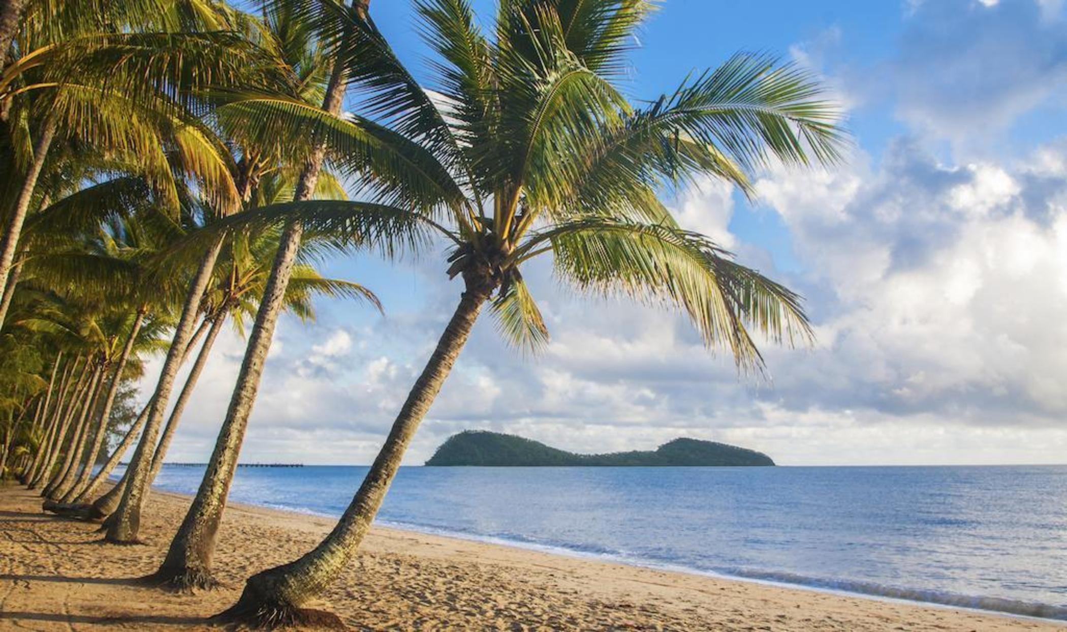 Mango Lagoon Resort & Wellness Spa Palm Cove Exterior foto